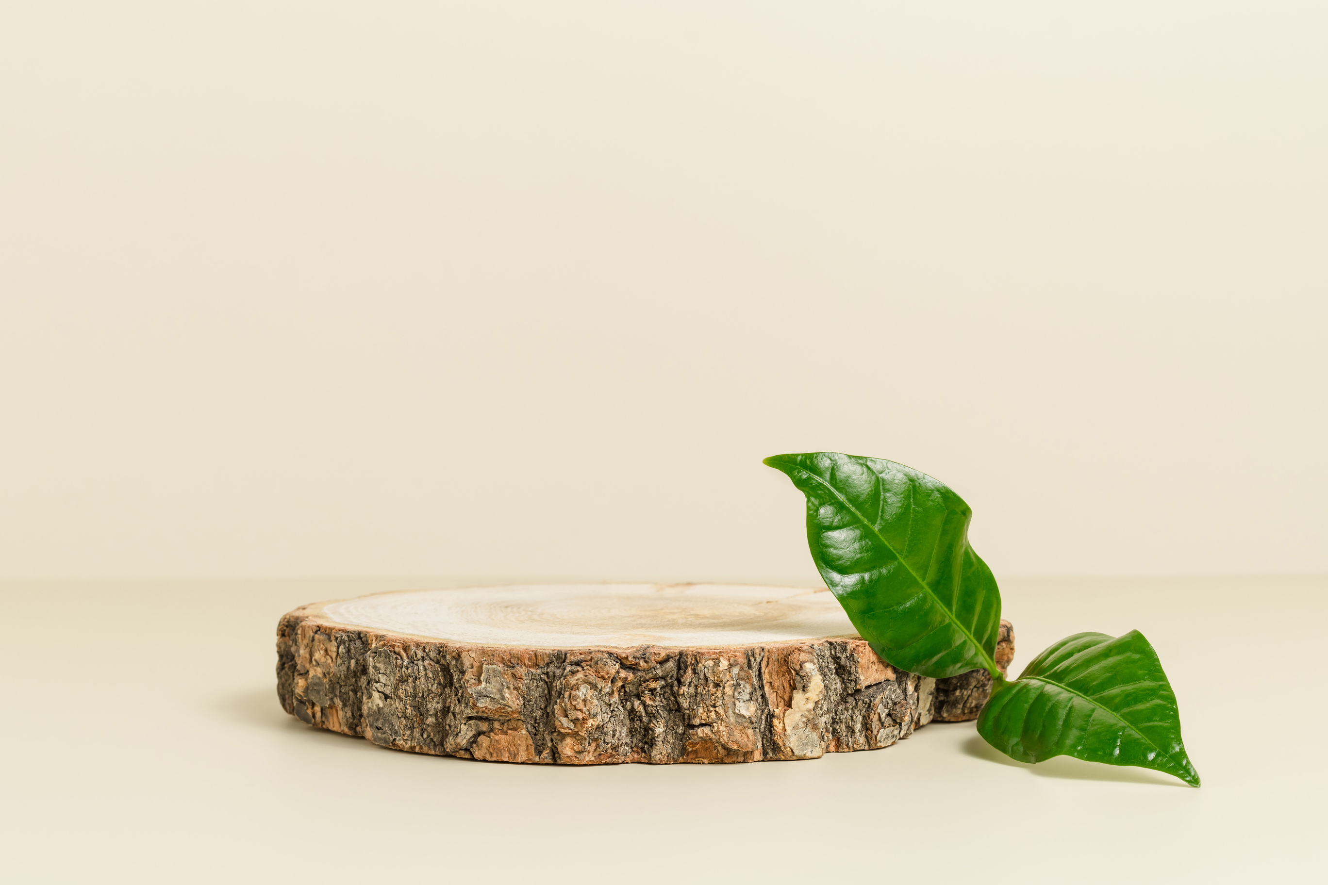 Wooden podium with leaf for natural cosmetic and product